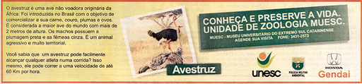 18 e 19 de agosto de 2007