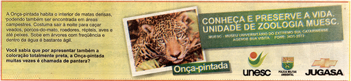 8 e 9 de setembro de 2007