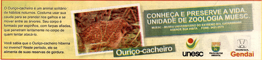 21 e 22 de julho de 2007