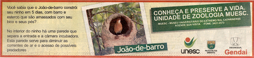 17 e 18 de novembro de 2007