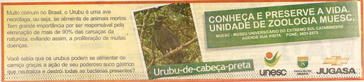 8 e 9 de dezembro de 2007