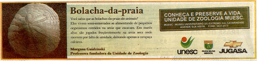 8 de fevereiro de 2008