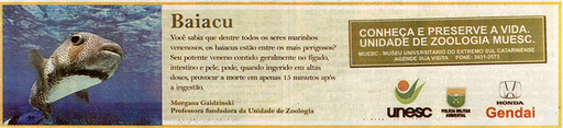 16 e 17 de fevereiro de 2008
