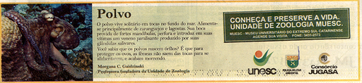 23 e 24 de fevereiro de 2008