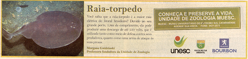 15 e 16 de março de 2008
