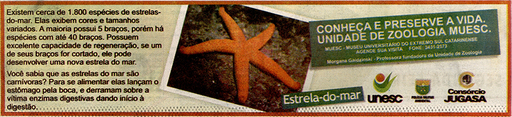 26 e 27 de janeiro de 2008
