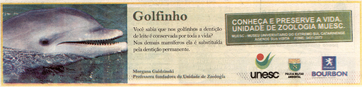 10 e 11 de maio de 2008