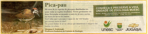 5 e 6 de abril de 2008