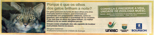 12 e 13 de abril de 2008