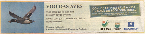 9 e 10 de agosto de 2008