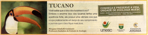 23 e 24 de agosto de 2008