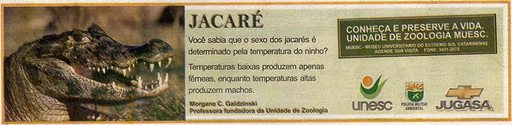 30 e 31 de agosto de 2008