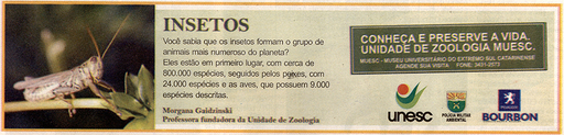 6 e 7 de setembro de 2008