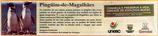 21 e 22 de junho de 2008