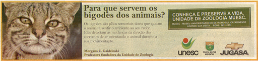 5 e 6 de julho de 2008