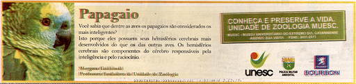 12 e 13 de julho de 2008