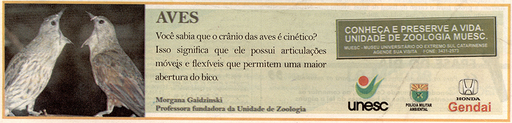 19 e 20 de julho de 2008