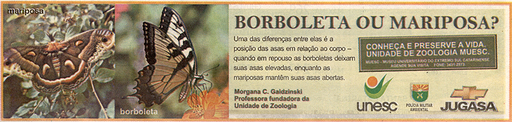 25 e 26 de outubro de 2008