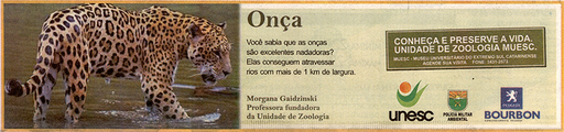 8 e 9 de novembro de 2008