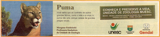 14, 15 e 16 de novembro de 2008