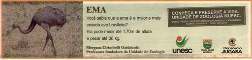 22 e 23 de novembro de 2008