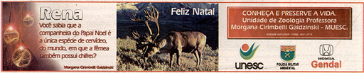 13 e 14 de dezembro de 2008