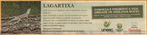 13 e 14 de setembro de 2008
