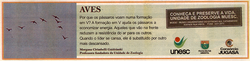 20 e 21 de setembro de 2008