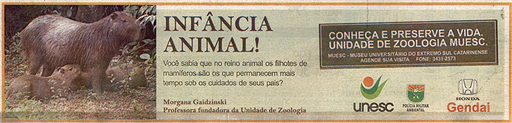 11 e 12 de outubro de 2008