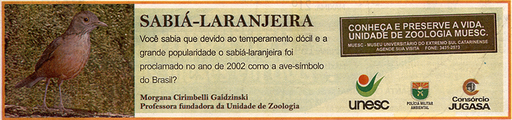 18 e 19 de outubro de 2008