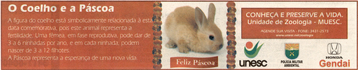 11 e 12 de abril de 2009