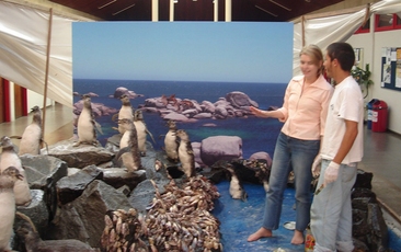 Montagem da Exposição “Ecossistema Marinho” no Bloco Administrativo (2005).