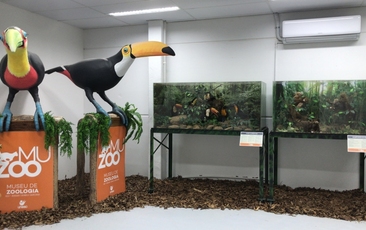 Exposição Animais da Mata Atlântica no polo de ensino a distância da UNESC, em Araranguá (2019) 